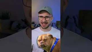 Какое твоё ТОТЕМНОЕ ЖИВОТНОЕ ?