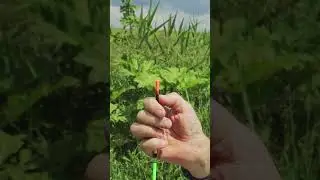Делай правильно 