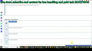 cs604 quiz no 3 solution spring 2024 100% verified answers
