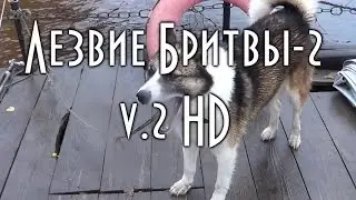 Рыбалка в тайге у Станового Хребта, Путешествие по таежной реке Зея