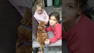 My Cat Roxy Got Friends. Life in Turkey Antalya