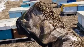 Утепляем пчел