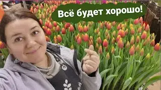 🌷Неделя до 8 марта | Цветочный магазин | Тюльпаны в гараже 🌷 Итоги