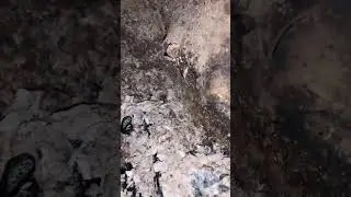 🪵🔥печь в труху за 5 лет 🔥