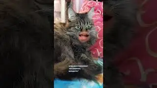 Как сохранить молодость ?
