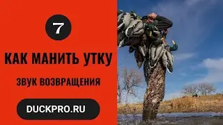 7.  Как манить утку.  Охота с Бак Гарднер. Звук возвращения, комбэк. Русская озвучка.