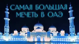 Мечеть шейха Заида в Абу-Даби. Что находится внутри?