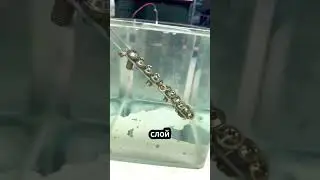 Покрасить без краски ⚙️🎨