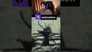 ПОПУТАЛ БЕРЕГА С ДРАКОНОМ #assimaslow #twitch #shorts
