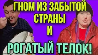 РОГАТЫЙ ТЕЛОК, И ГНОМИК ИЗ ЗАБЫТОЙ СТРАНЫ. ОЛЮНЯ И КОТЮНЯ.