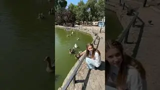 Кормим птиц 😊