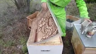 Проверяю основные пчелосемьи на засев маток. Ставлю магазинные надставки. 17.06.2022г. Кыштовка