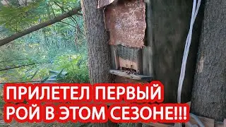 ЛОВИМ РОИ!!! СЕЗОН 2022!!!