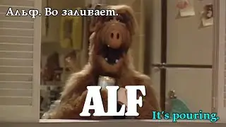 Альф. Во заливає. Alf. It's pouring. Альф. Во заливает. #alf