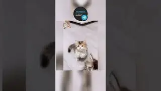 Check out this amazing video!