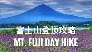 MOUNT FUJI Summit Full Hiking Tour 2024