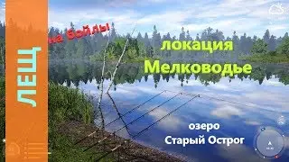 Русская рыбалка 4 - озеро Старый Острог - Крупный лещ на бойлы