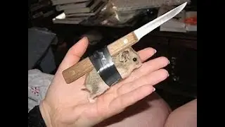 Garry's Mod me with gun and bomb