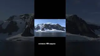 Интересные факты об Антарктиде ❄