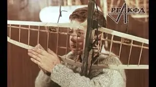 Детский киноальманах Звездочка №28
