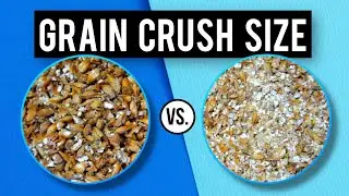 Coarse vs. Fine Grain Crush In A Helles Bock | exBEERiment