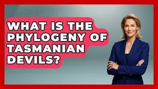 What Is The Phylogeny Of Tasmanian Devils? - The Wild Life Explorer