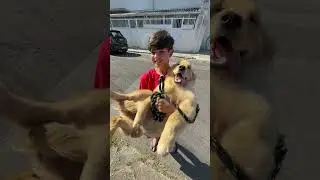 GANHEI UM CACHORRO