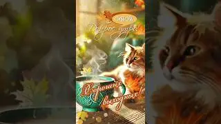 ДОБРОЕ УТРО! #музыкальнаяоткрытка