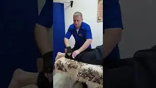 Ростовская область город шахты 89518464602