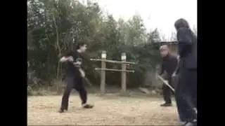 Kung fu cudgel ,Vara Dragon Escuela Caballos Rampantes