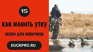 15. Как манить утку  Охота с Фрэдом Зинком. Звуки для новичков.  Русская озвучка