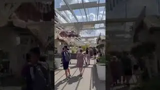 Москва. Манежная площадь. (Дни культуры Объединённых Арабских Эмиратах-2024г)