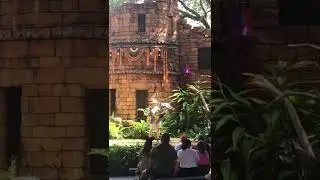 WDW 