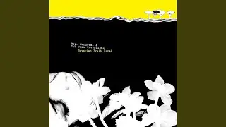 Butterfly Mornings