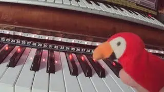 AutoTonic –Wutz & Hiss feat. Parrot (Jam)