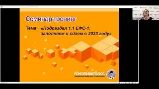 Подраздел 1.1 ЕФС-1: заполняем и сдаем в 2023 году