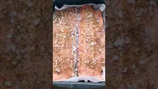 Вкусно жить не запретишь, за уши не оттянешь 