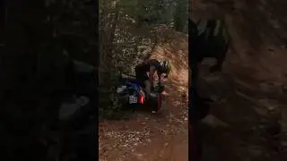 Ab in die Hecke🌲😂 #motovlog #bike