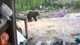 ПОСЛЕДНЕЕ ЧТО СНЯЛИ НА ВИДЕО жесть!!!