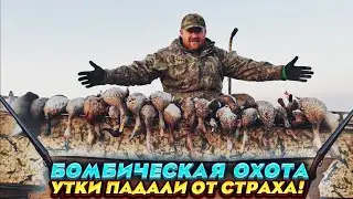 Утки падали из под небес прям в лодку! Отличная охота!