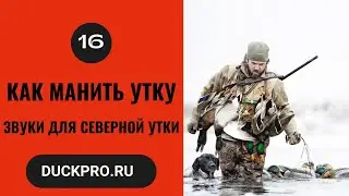 16. Как манить утку  Охота с Фрэдом Зинком. Звуки для северной утки.  Русская озвучка.
