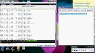 Change Ownership And Group Using Chown Command In Suse Linux