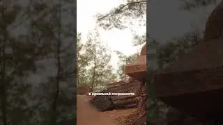 Новые артефакты на новые камеры. Скоро на канале