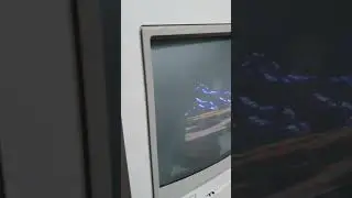 Commodore 1084S input problem
