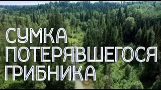 Сумка потерявшегося грибника