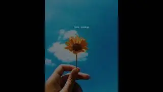 🔥🖤 Saathi Har Pal Ka - Whatsapp✨Status | Mitraz | Akhri Sawal Yehi Hai | Love Status Video