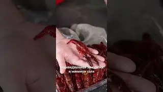 Раки! Их не нужно варить они уже готовы! 