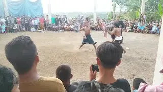 Sumpah ngeri banget Peresean budaya tradisional Sasak Lombok