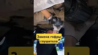 ПОДЛЕЧИЛИ ПЕЖО 
