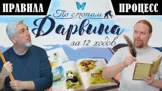 5 ХОДОВ в настольную игру 